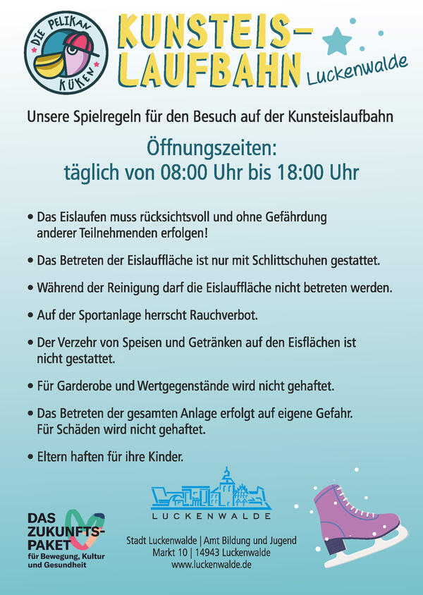 Bild vergr&ouml;&szlig;ern: Spielregeln Kunsteislaufbahn