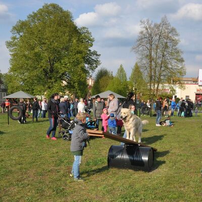 Eröffnung Hundewiese