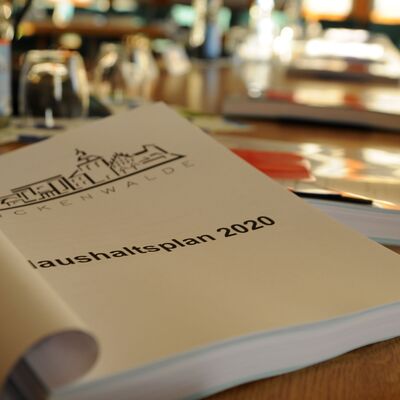 Foto: Im Vordergrund ein kopiertes Exemplar "Haushaltsplan 2020", weitere Exemplare nacheinander auf Tisch aufgereiht.