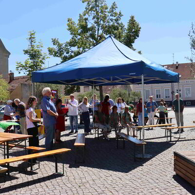 Bild vergr&ouml;&szlig;ern: Baumfestival