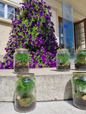 Bild vergr&ouml;&szlig;ern: Gärten im Glas auf der Treppe vor der Bibliothek