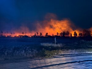 Bild vergr&ouml;&szlig;ern: Waldbrand bei Altes Lager