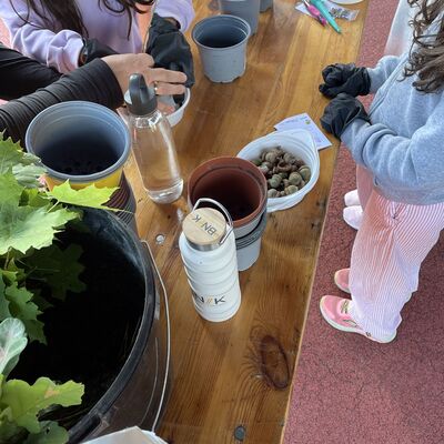 Bild vergr&ouml;&szlig;ern: Foto: Ein Tisch mit Pflanzutensilien, an dem Kinder stehen.